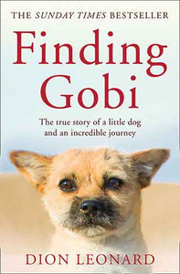 Finding Gobi