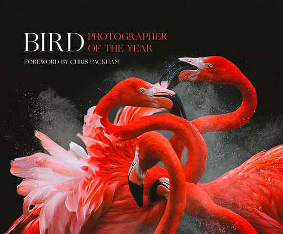 Bird Photographer Of The Year