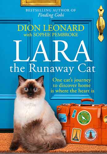 Lara the Runaway Cat