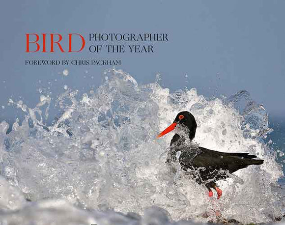 Bird Photographer of the Year