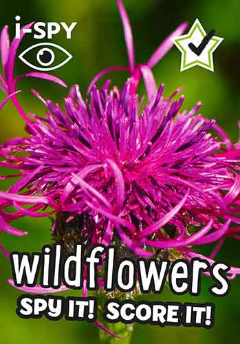 I-Spy Wildflowers