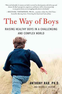 The Way of Boys: Promoting the Social and Emotional Development of Young  Boys