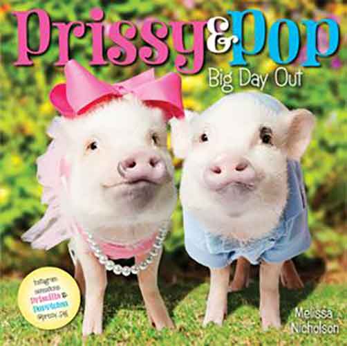 Prissy & Pop Big Day Out