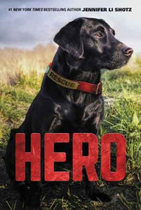 Hero: Rescue Dog