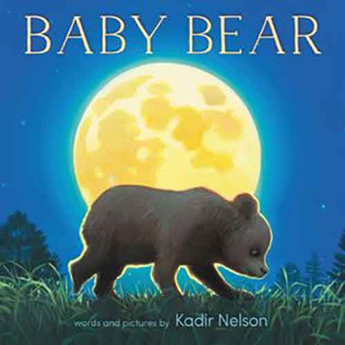 Baby Bear Board Book