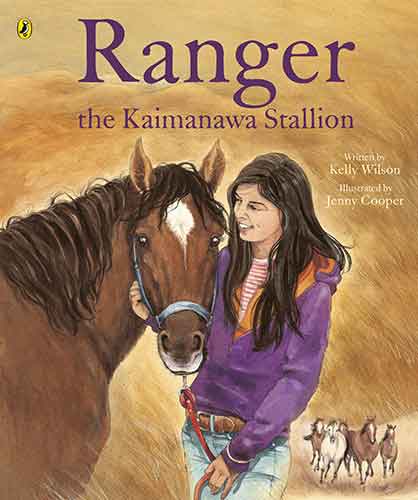 Ranger the Kaimanawa Stallion