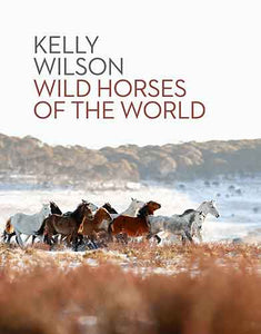 Wild Horses of the World