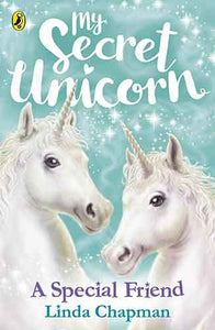 My Secret Unicorn: A Special Friend