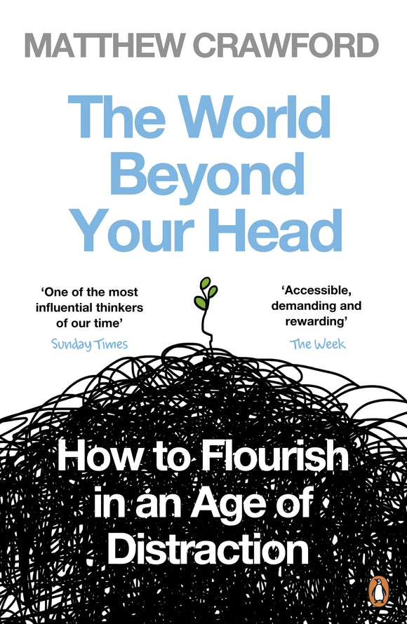 The World Beyond Your Head