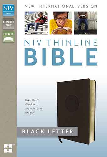 NIV, Thinline Bible [Italian Duo-Tone Brown]