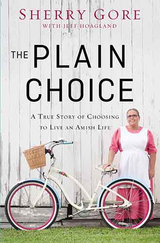 Plain Choice: A True Story Of Choosing To Live An Amish Life