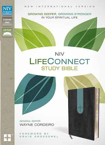 NIV Life Connect Study Bible: Growing Deeper, Growing Stronger In Your Spiritual Life [Italian Duo-Tone Gray/Blue]