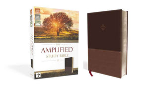 Amplified Study Bible [Brown]