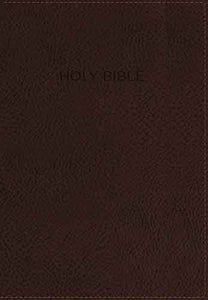 NIV Foundation Study Bible, Indexed