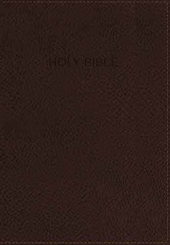 NIV Foundation Study Bible, Indexed