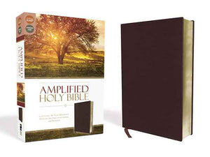 Amplified Holy Bible: Captures the Full Meaning Behind the Original Greek and Hebrew [Burgundy]