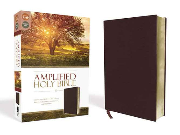 Amplified Holy Bible: Captures the Full Meaning Behind the Original Greek and Hebrew [Burgundy]