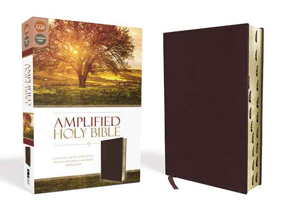 Amplified Holy Bible, Indexed: Captures the Full Meaning Behind the Original Greek and Hebrew [Burgundy]