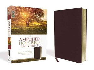 Amplified Holy Bible, Large Print: Captures the Full Meaning Behind the Original Greek and Hebrew [Burgundy]