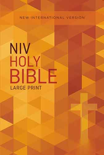 NIV Outreach Bible [Large Print]