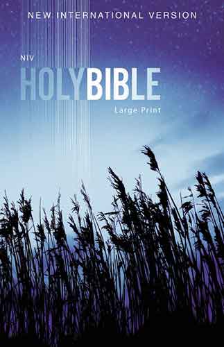 NIV Outreach Bible, Large Print [Blue Wheat]