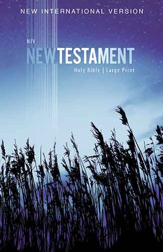 NIV Outreach New Testament [Large Print]