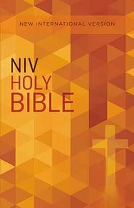 NIV Value Outreach Bible [Orange]