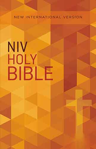 NIV Value Outreach Bible [Orange]