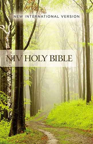 NIV Value Outreach Bible [Green Forest]