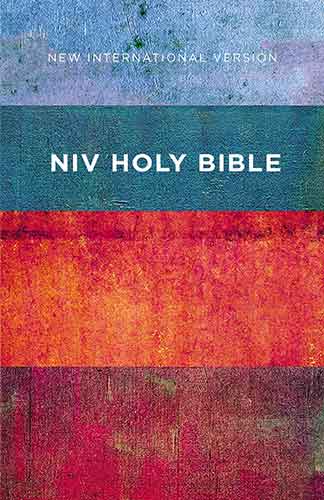 NIV Value Outreach Bible [Red/Blue]