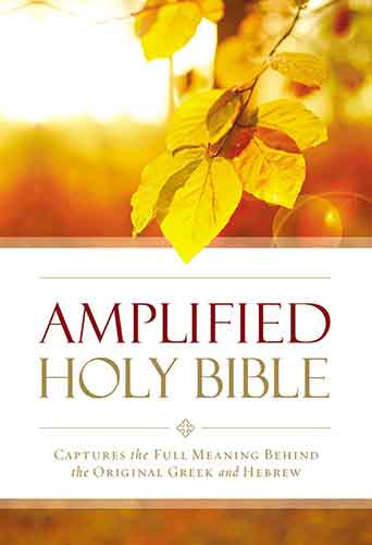 Amplified Outreach Bible: Capture The Full Meaning Behind The Original Greek And Hebrew