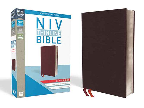 NIV Thinline Bible Indexed Red Letter Edition [Large Print, Bu