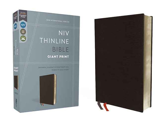 NIV Thinline Bible Red Letter Edition [Giant Print, Black]