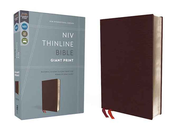 NIV Thinline Bible Red Letter Edition [Giant Print, Burgundy]