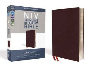 NIV Thinline Reference Bible Red Letter Edition [Large Print,