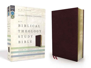 NIV Biblical Theology Study Bible [Burgundy]