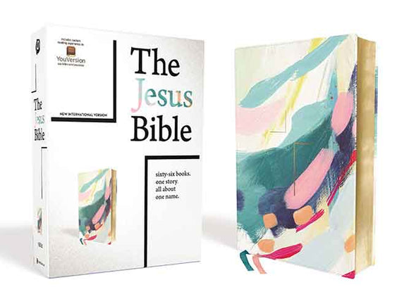 The Jesus Bible NIV Edition [Multi-Colour/Teal]