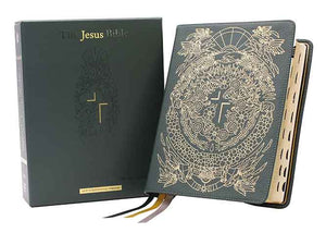 The Jesus Bible Artist Edition NIV Limited Edition, Thumb Indexed, Comfort Print [Green]