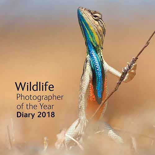 2018 Wildlife Photographer Desk Diary