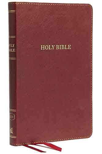 KJV Thinline Bible, Standard Print, Red Letter Edition [Burgu