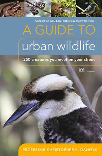 A Guide to Urban Wildlife