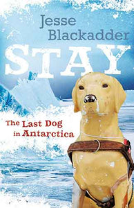 Stay: The Last Dog In Antarctica