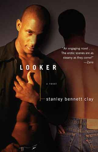 Looker: A Novel