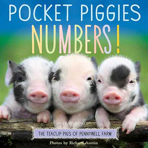 Pocket Piggies Numbers!