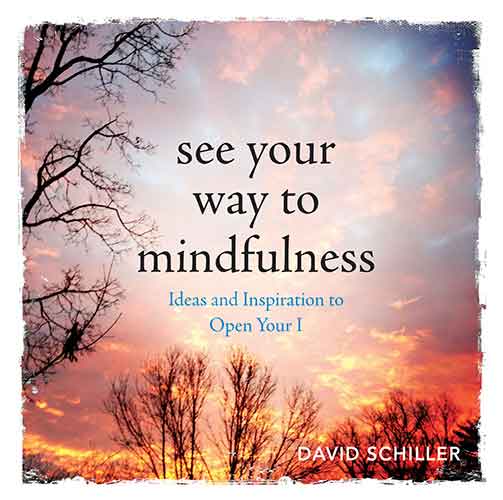 See Your Way to Mindfulness