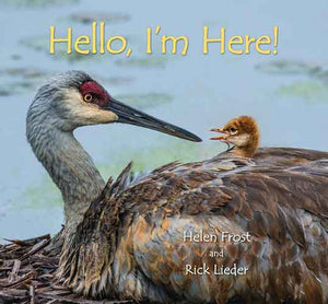 Hello, I'm Here!