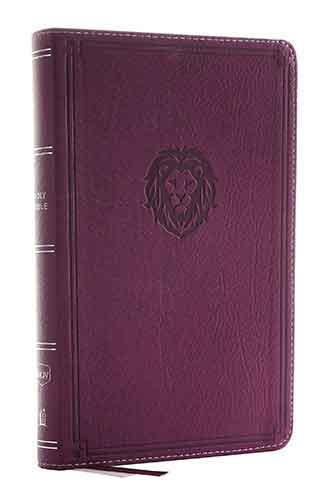 NKJV Thinline Bible Youth Red Letter Edition [Burgundy]