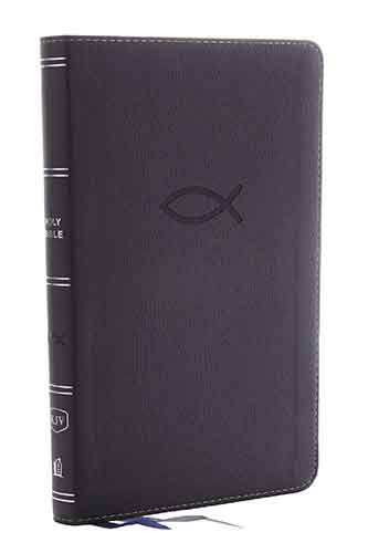 KJV Thinline Bible Youth Red Letter Edition [Grey]