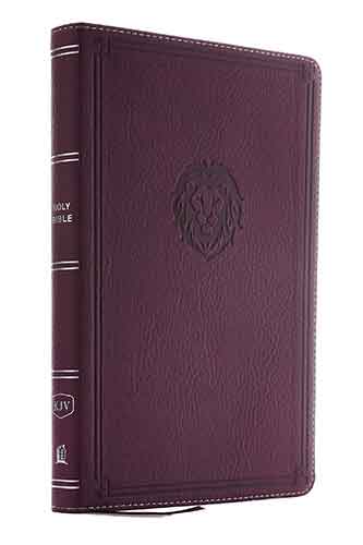 KJV Thinline Bible Youth Red Letter Edition [Burgundy]