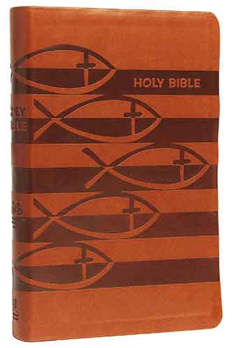ICB Holy Bible: International Children's Bible [Brown]